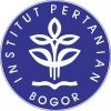 IPB Large